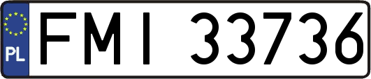 FMI33736