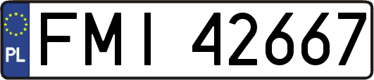 FMI42667