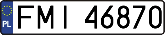 FMI46870
