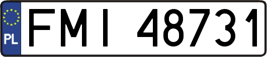 FMI48731