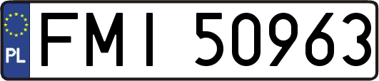 FMI50963