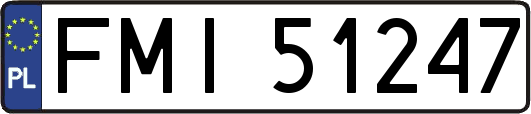 FMI51247