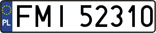 FMI52310