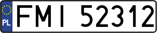 FMI52312