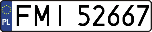 FMI52667