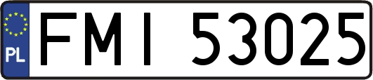 FMI53025