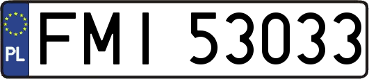 FMI53033