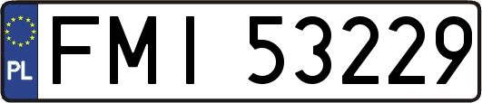 FMI53229