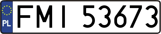 FMI53673