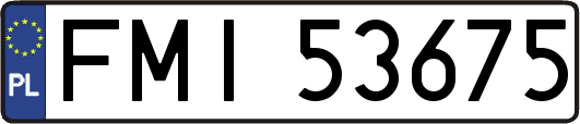 FMI53675