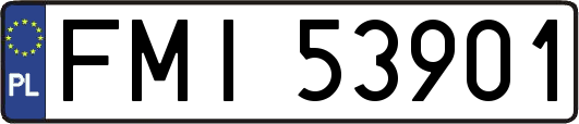 FMI53901