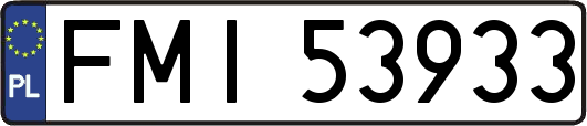 FMI53933