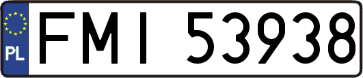 FMI53938