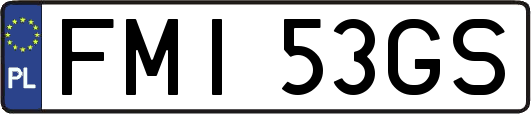 FMI53GS