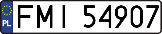 FMI54907