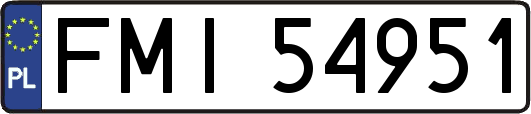 FMI54951