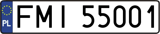 FMI55001