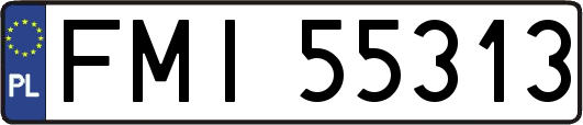 FMI55313