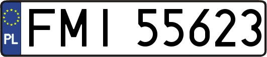 FMI55623