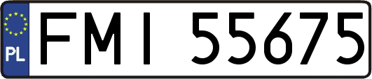 FMI55675