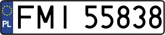 FMI55838