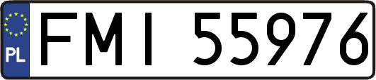 FMI55976