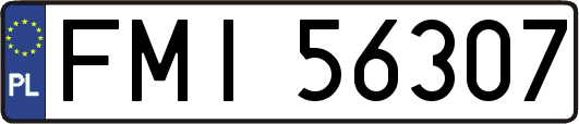 FMI56307