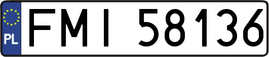 FMI58136