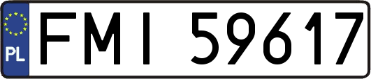 FMI59617