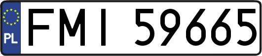 FMI59665