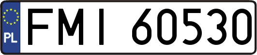 FMI60530