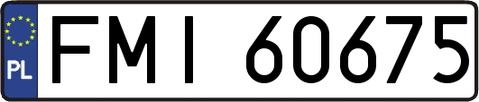 FMI60675