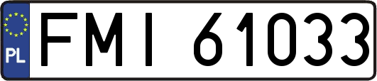 FMI61033