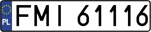 FMI61116