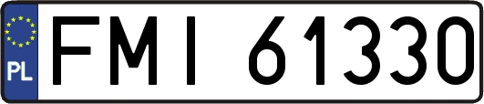 FMI61330