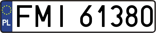 FMI61380