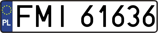 FMI61636