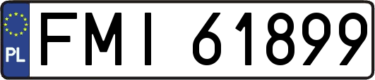 FMI61899