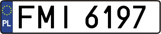 FMI6197