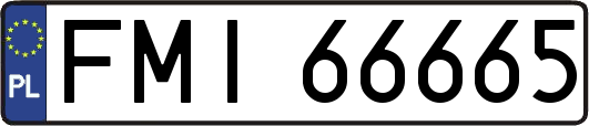 FMI66665