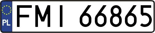 FMI66865