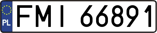 FMI66891