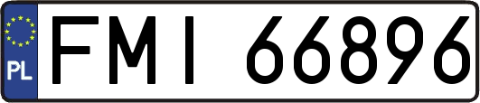 FMI66896