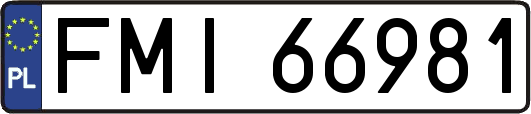 FMI66981