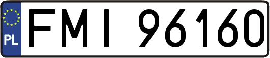 FMI96160