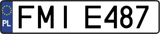 FMIE487