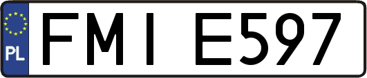 FMIE597
