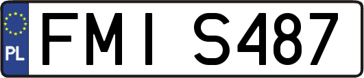 FMIS487