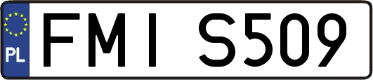 FMIS509