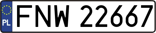 FNW22667